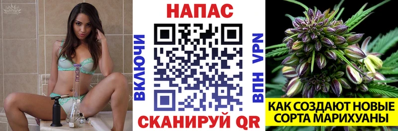 Каннабис план Троицк